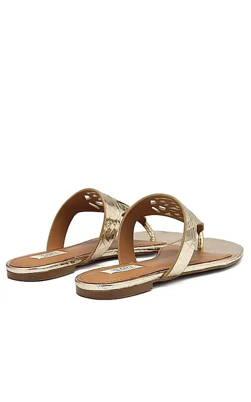 Gold Snake Textured Logo Sliders