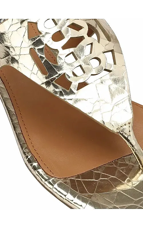 Gold Snake Textured Logo Sliders